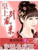 穿越也疯狂：皇上，别乱来