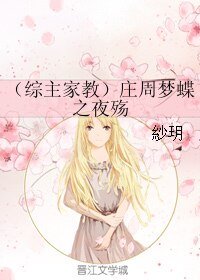 （综同人）（综主家教）庄周梦蝶之夜殇
