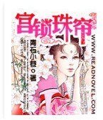 宫锁珠帘