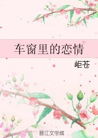 车窗里的恋情