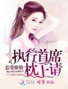 《惹爱撩婚:执行首席,枕上请》