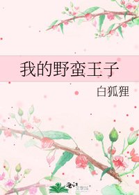 《我的野蠻王子》