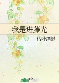 我是进藤光