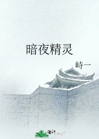 《暗夜精灵》