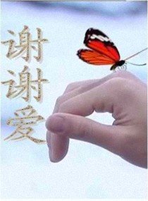 謝謝愛
