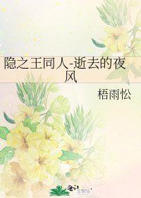 隐之王同人-逝去的夜风