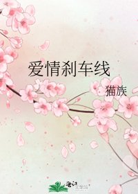 爱情刹车线