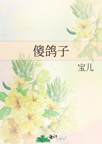 傻鴿子
