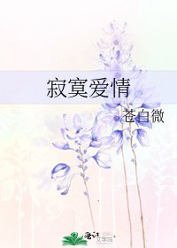 寂寞爱情