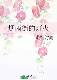 烟雨街的灯火