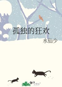 孤独的狂欢