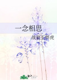 一念相思