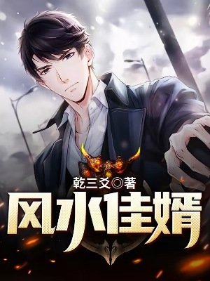 风水佳婿