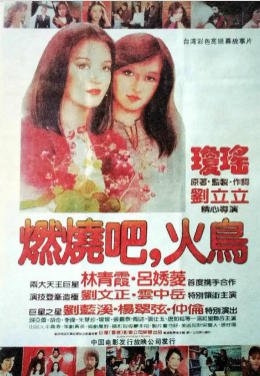 燃烧吧！火鸟（出版书）